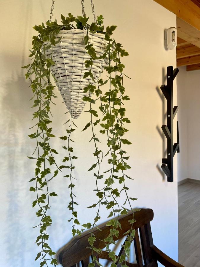 BetancuríaLa Casita De La Era公寓 外观 照片